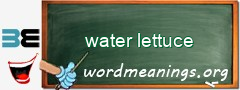 WordMeaning blackboard for water lettuce